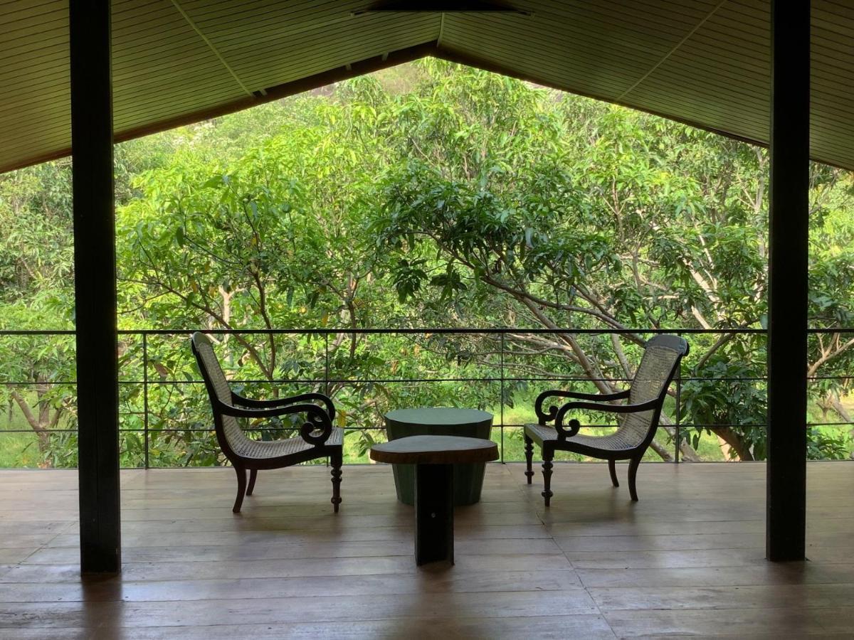 Mind Body And Soul Hotel Dambulla Exterior photo